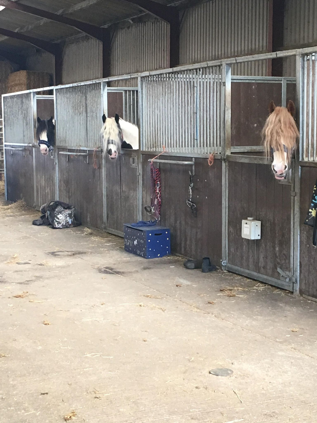 Winter stabling tips