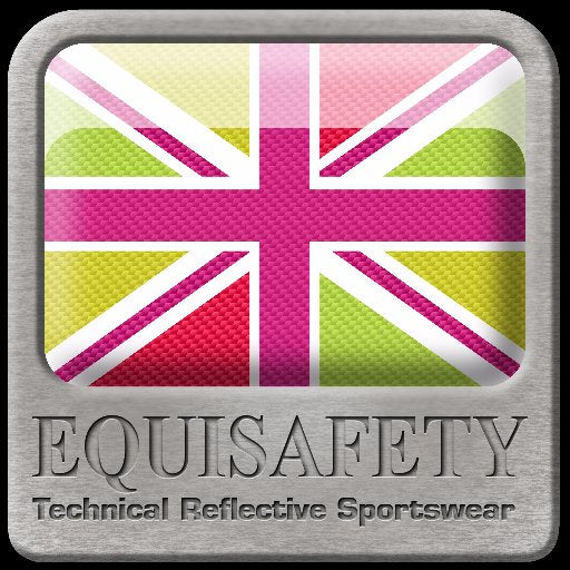 Equisafety