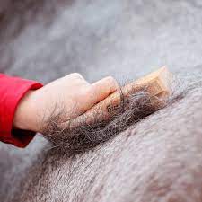 Ezee Groom by Smart Grooming - Top Of The Clops
