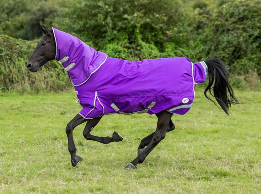 50g Detachable Neck Turnout Rug - Purple