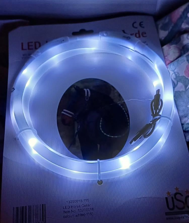 USG Flashing LED Equine Neck / Rein Collar