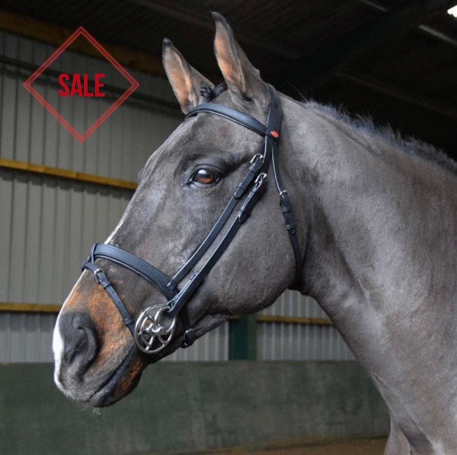 Whitaker Ready to Ride Snaffle Bridle