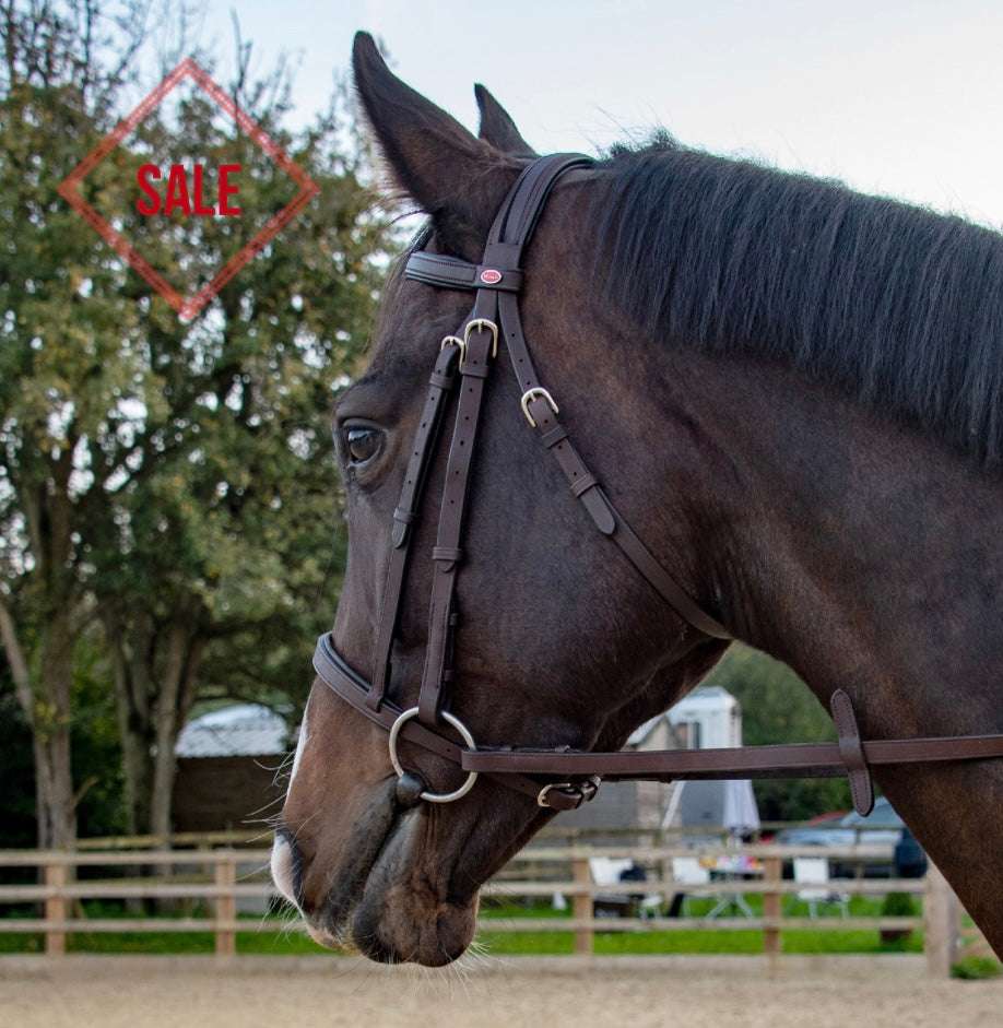 Whitaker Ready to Ride Snaffle Bridle