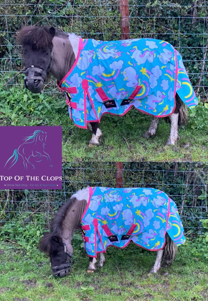 Rhinegold Unicorn Mini Torrent Outdoor Rug - Top Of The Clops