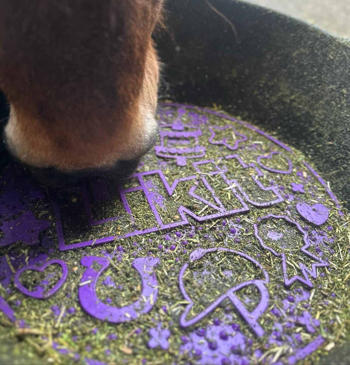 Likit Graze Maze