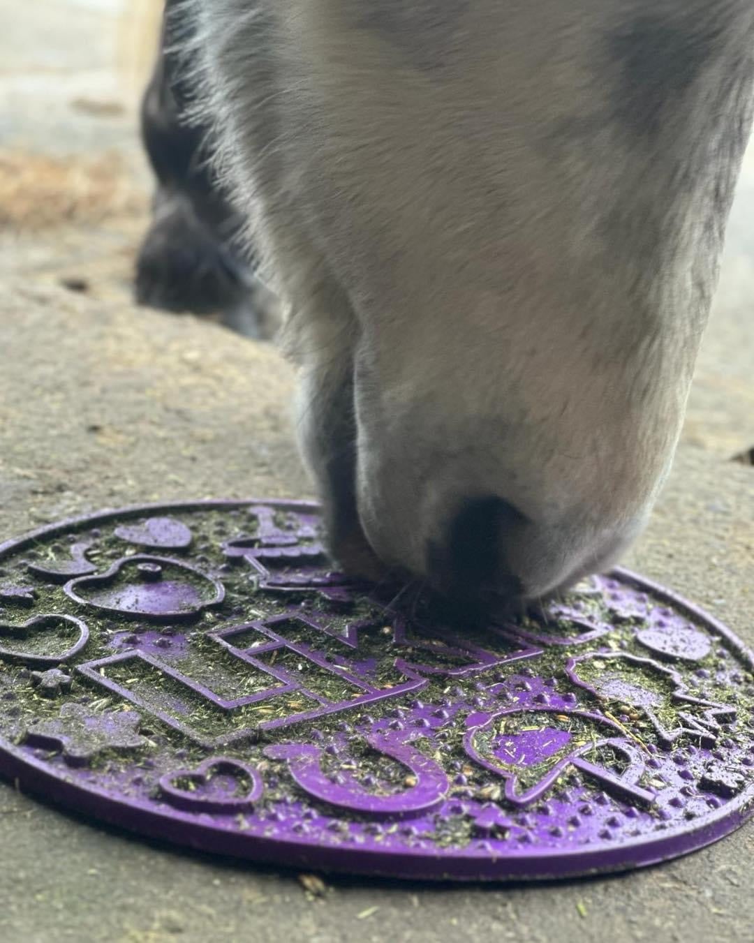 Likit Graze Maze - Top Of The Clops