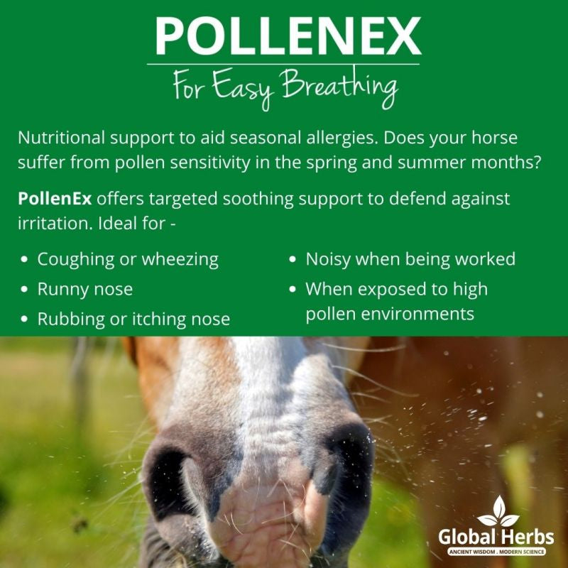 Global Herbs PolleneX - Top Of The Clops