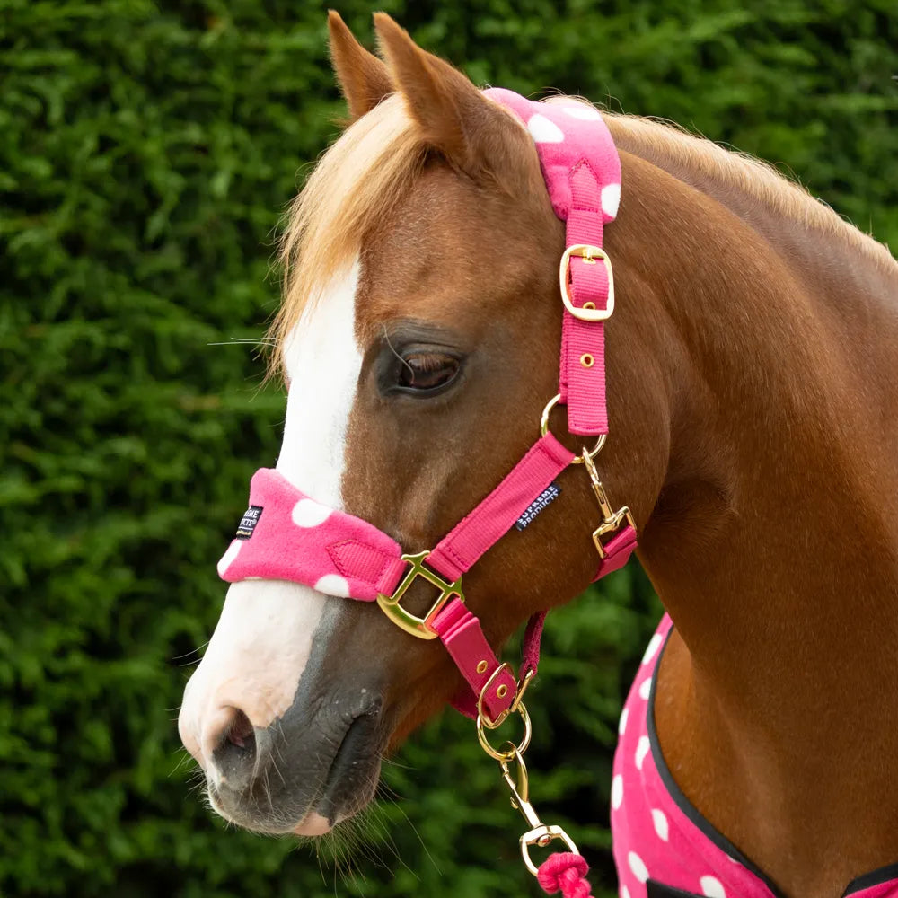 Supreme Products Dotty Fleece Head Collar & Lead Rope