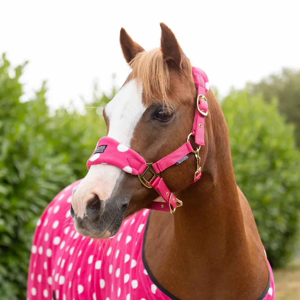 Supreme Products Dotty Fleece Head Collar & Lead Rope