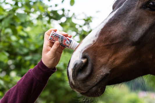 Phaser Roll On - Top Of The Clops