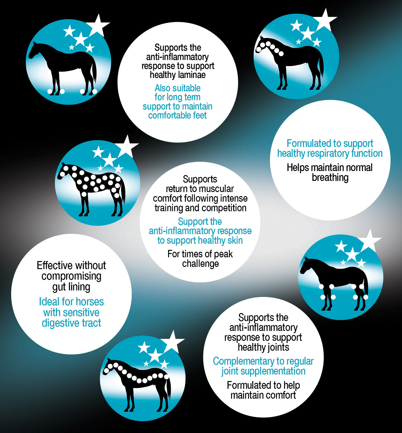 NAF Metazone 1.2kg Supplement - Top Of The Clops