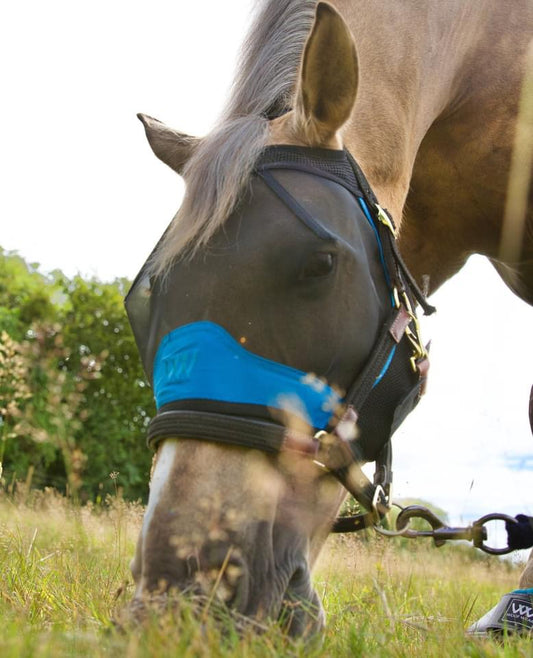 Woof Wear UV Fly Mask Without Ears - Top Of The Clops