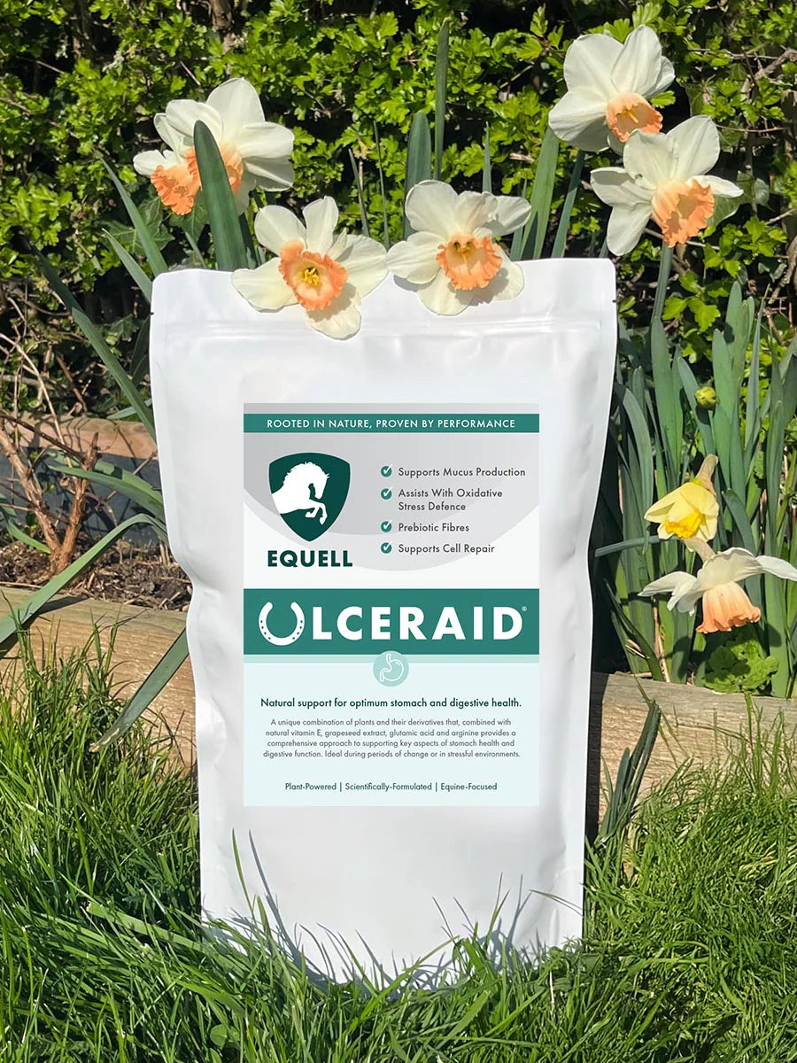 Equell UlcerAid
