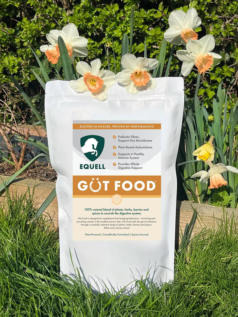 Equell Gut Food