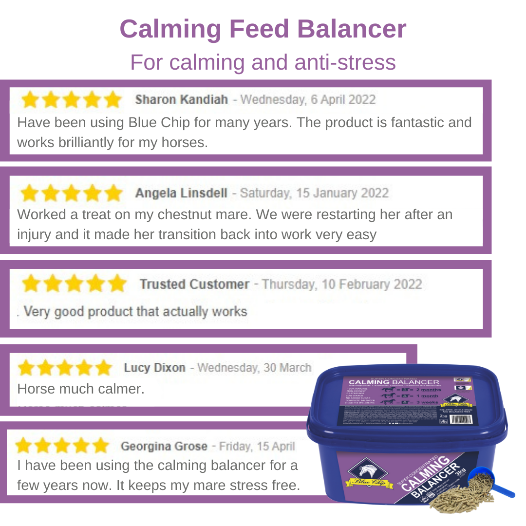Blue Chip Feed Super Concentrated Calming Balancer - Top Of The Clops