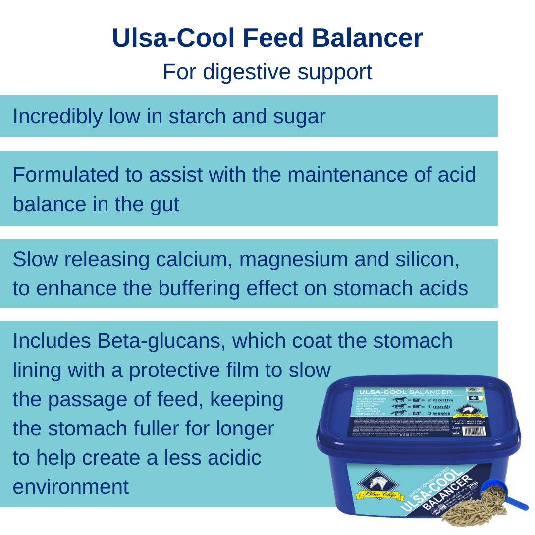Blue Chip Feed Super Concentrated Ulsa-Cool Balancer - Top Of The Clops