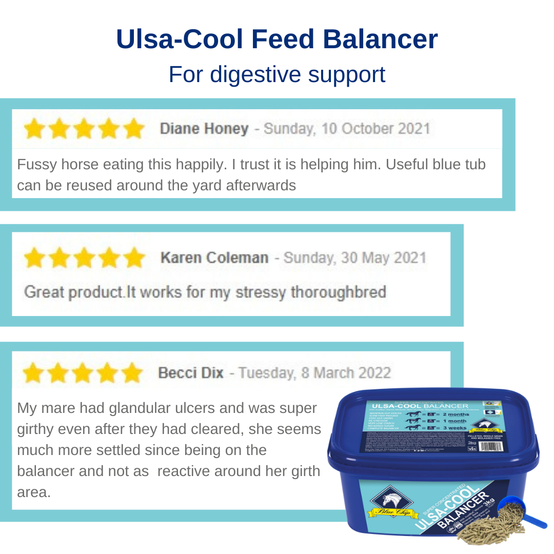Blue Chip Feed Super Concentrated Ulsa-Cool Balancer - Top Of The Clops