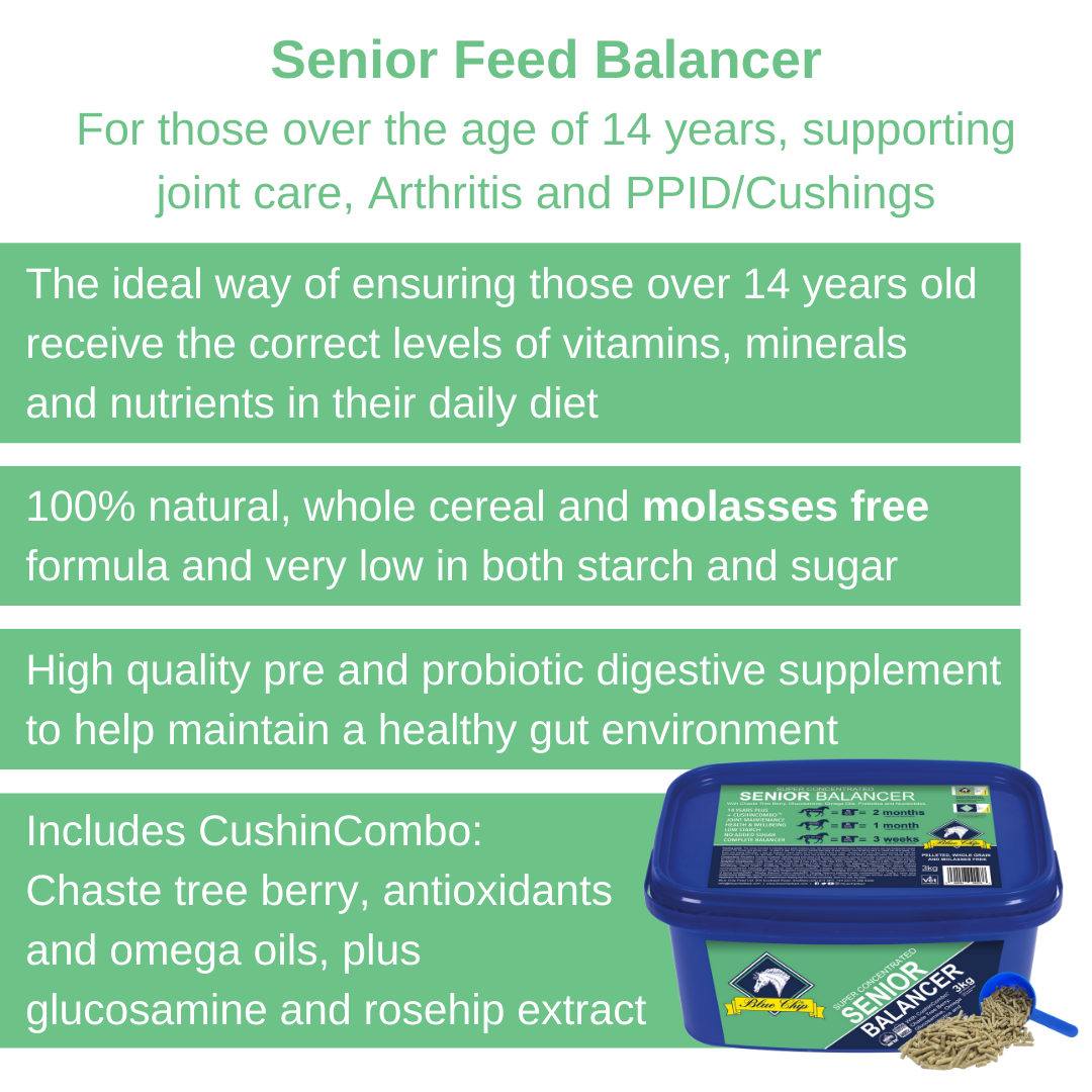 Blue Chip Feed Super Concentrated Senior Balancer - Top Of The Clops