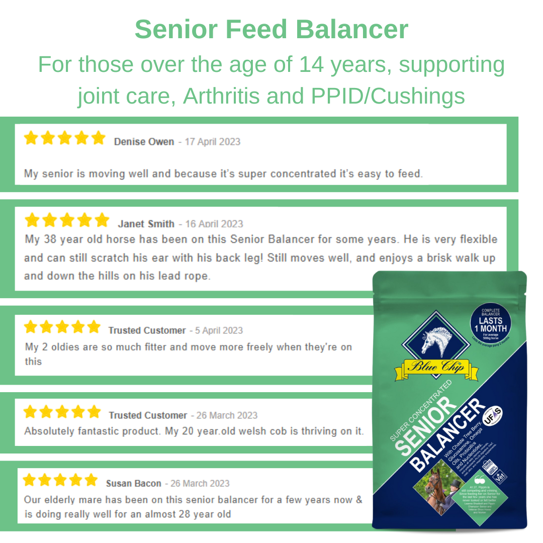 Blue Chip Feed Super Concentrated Senior Balancer - Top Of The Clops