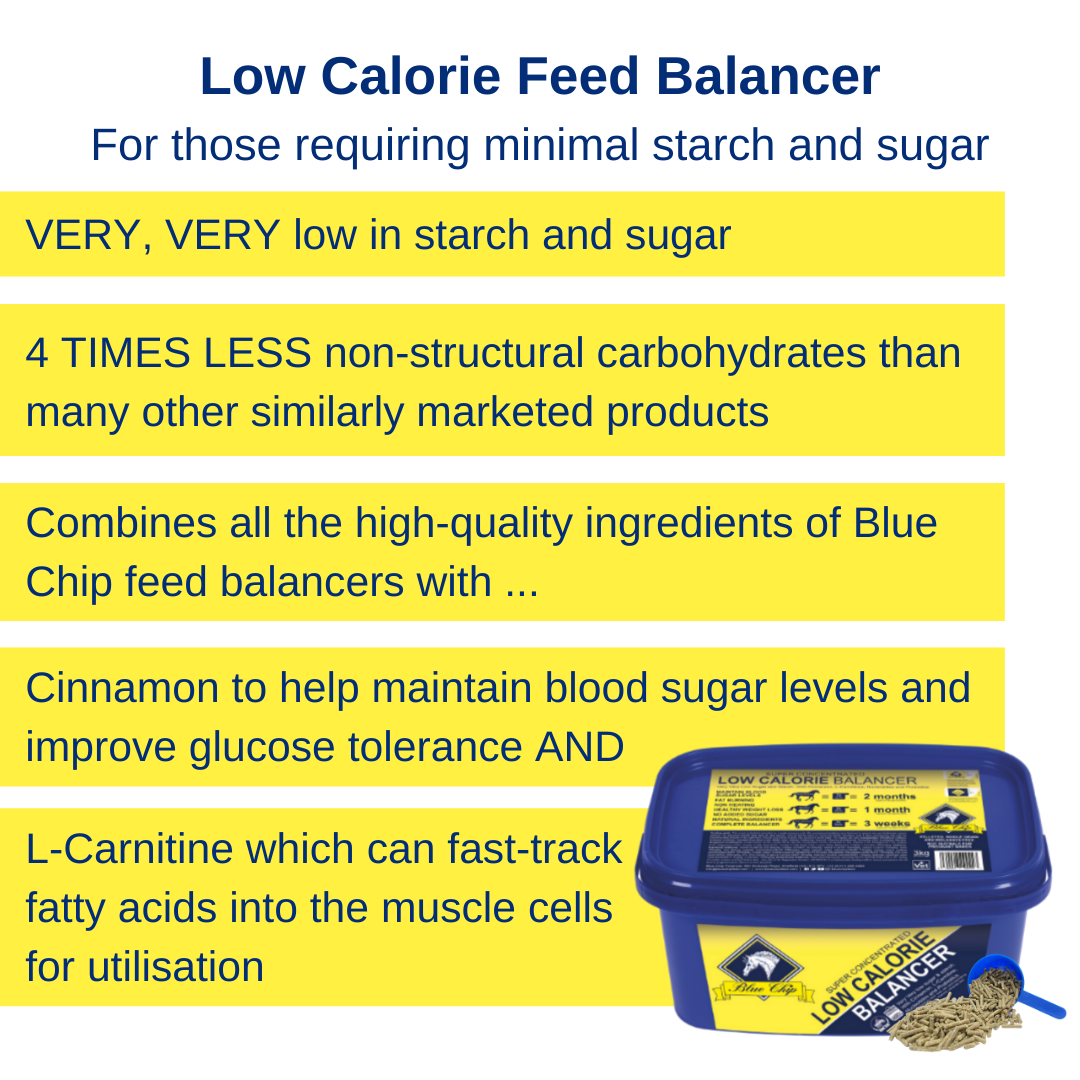 Blue Chip Super Concentrated Low Calorie Feed Balancer - Top Of The Clops