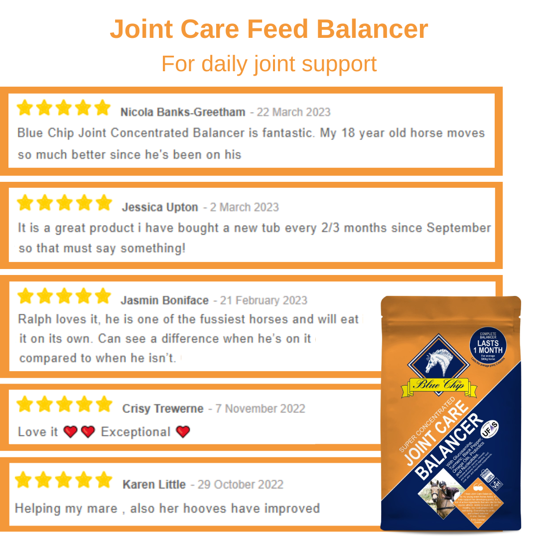 Blue Chip Feed Joint Care Super Concentrated Feed Balancer - Top Of The Clops