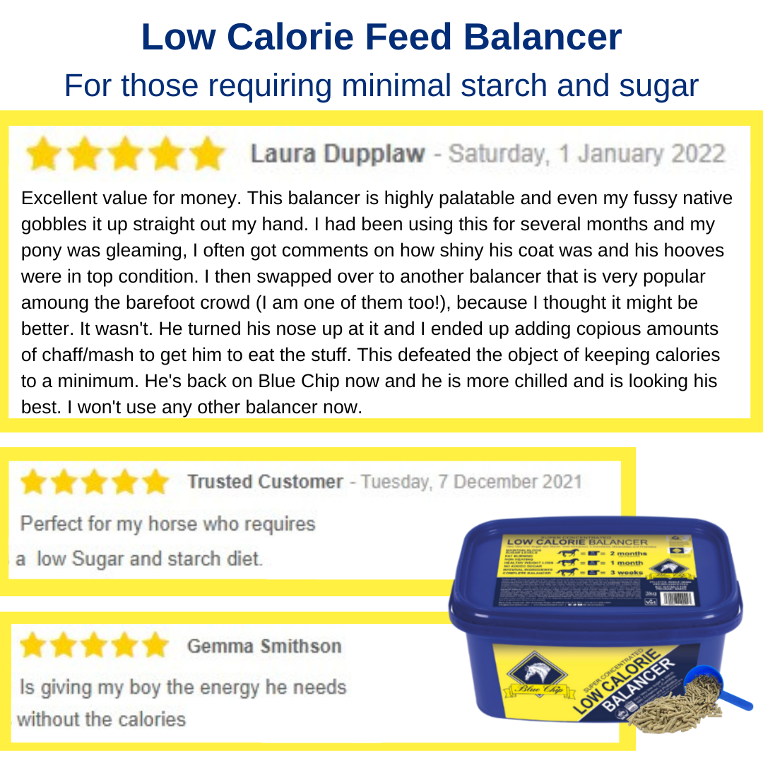 Blue Chip Super Concentrated Low Calorie Feed Balancer - Top Of The Clops
