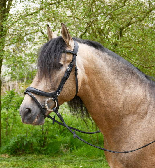 Heritage Anatomical Flash Bridle - Top Of The Clops