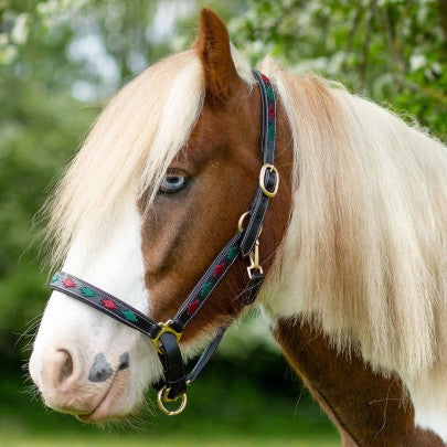 Gallop Diamond Padded Leather Headcollar