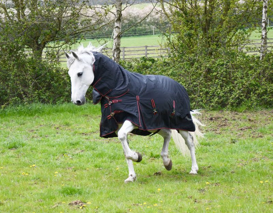 Rhinegold Aspen Heavy Weight Combo 350G Turnout - Top Of The Clops