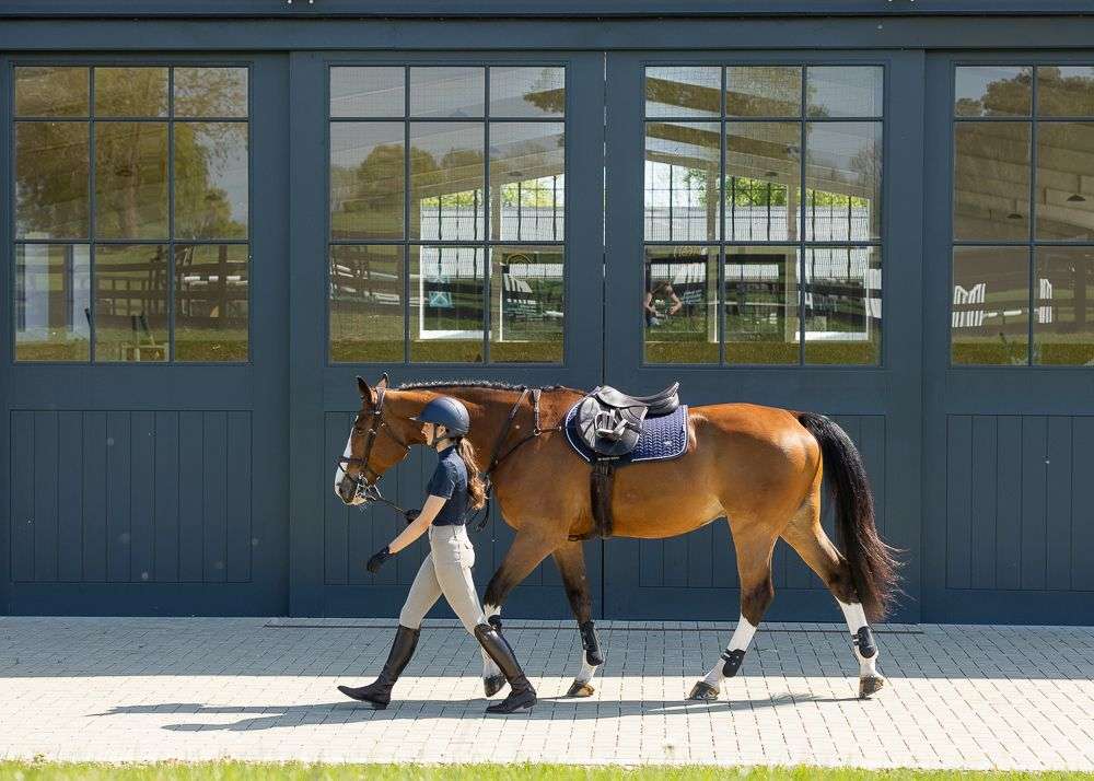Woof Wear Herringbone Close Contact Saddle Pad