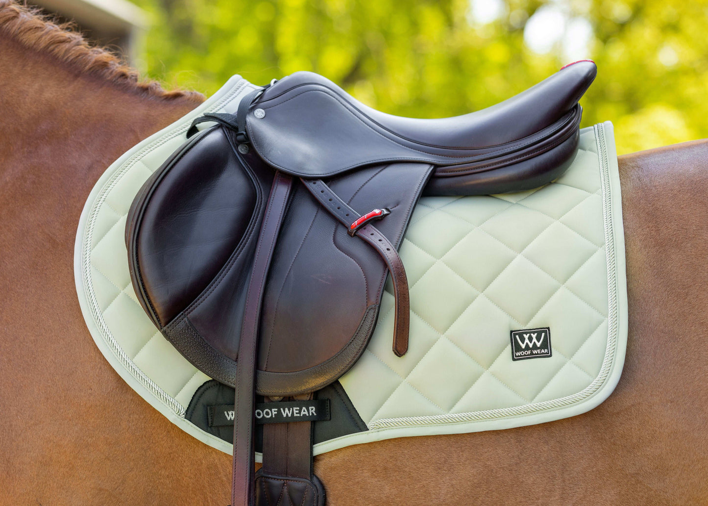 Woof Wear Vision Aura Close Contact Saddle Pad