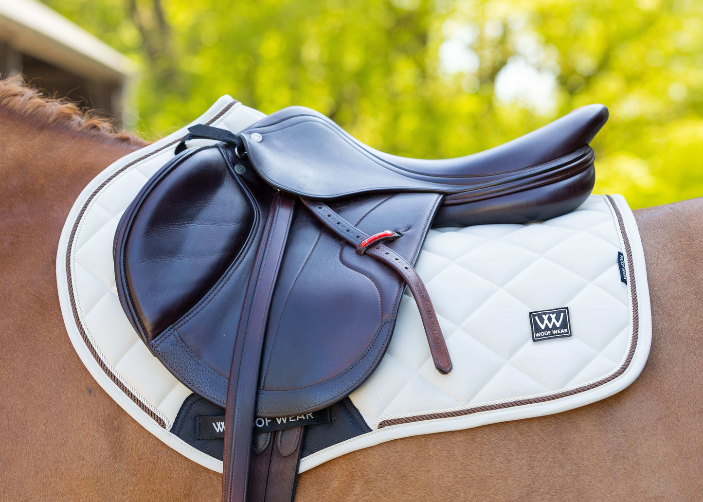 Woof Wear Vision Aura Close Contact Saddle Pad