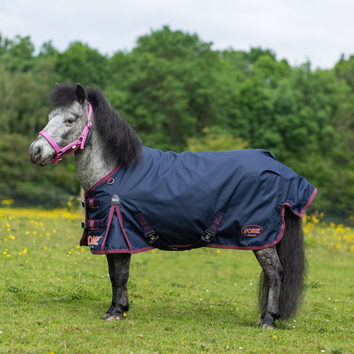 Gallop Ponie 50g Turnout