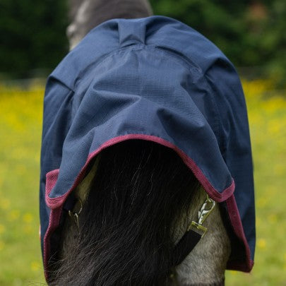 Gallop Ponie 50g Turnout