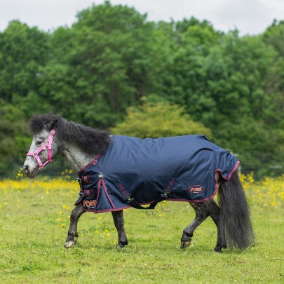 Gallop Ponie 50g Turnout