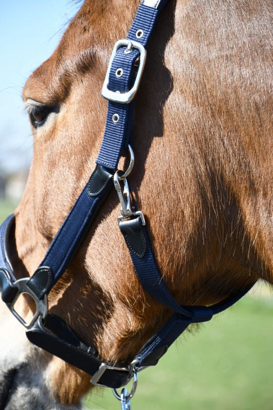 Heritage Anatomical Leather Lined Headcollar - Top Of The Clops