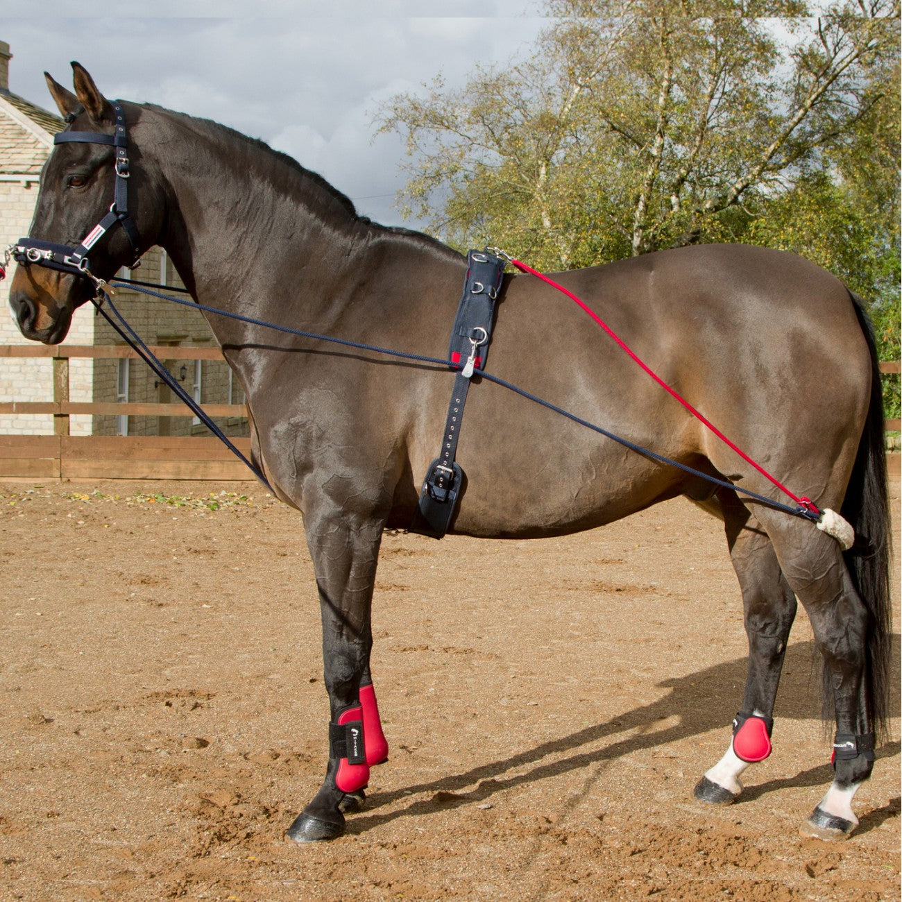 Whitaker Training System - Top Of The Clops