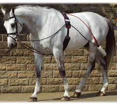 Whitaker Training System - Top Of The Clops