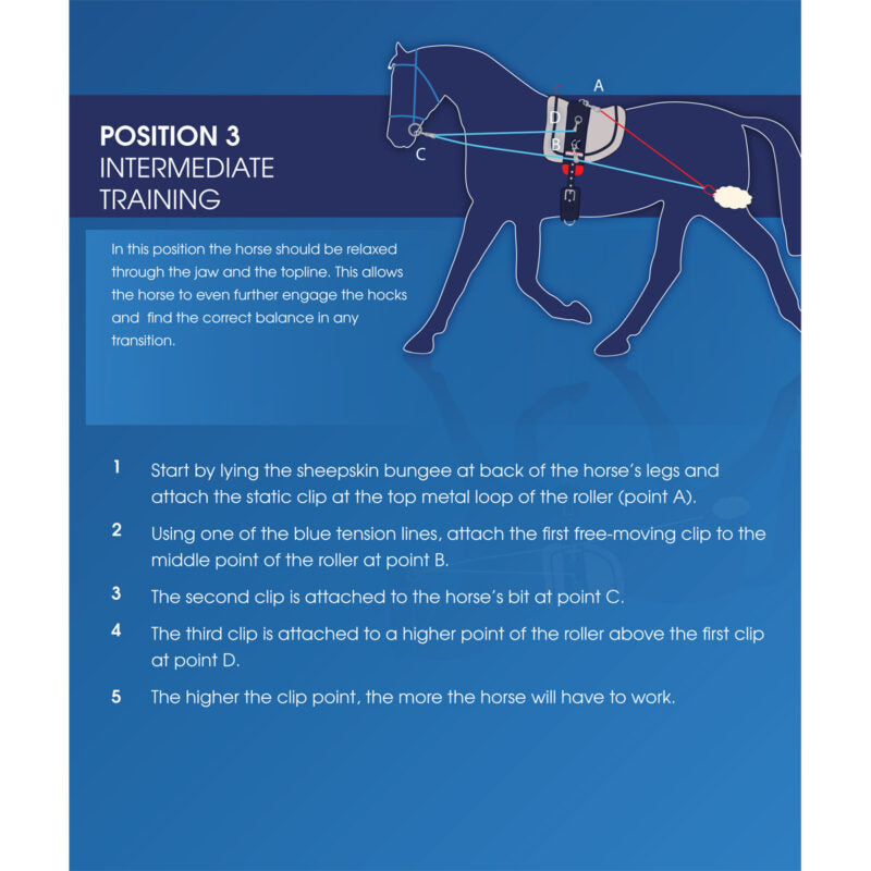 Whitaker Training System - Top Of The Clops