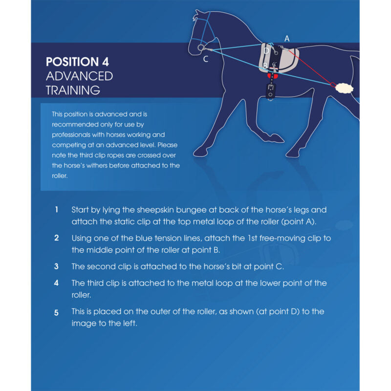 Whitaker Training System - Top Of The Clops