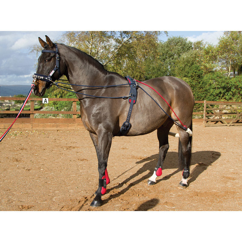 Whitaker Training System - Top Of The Clops