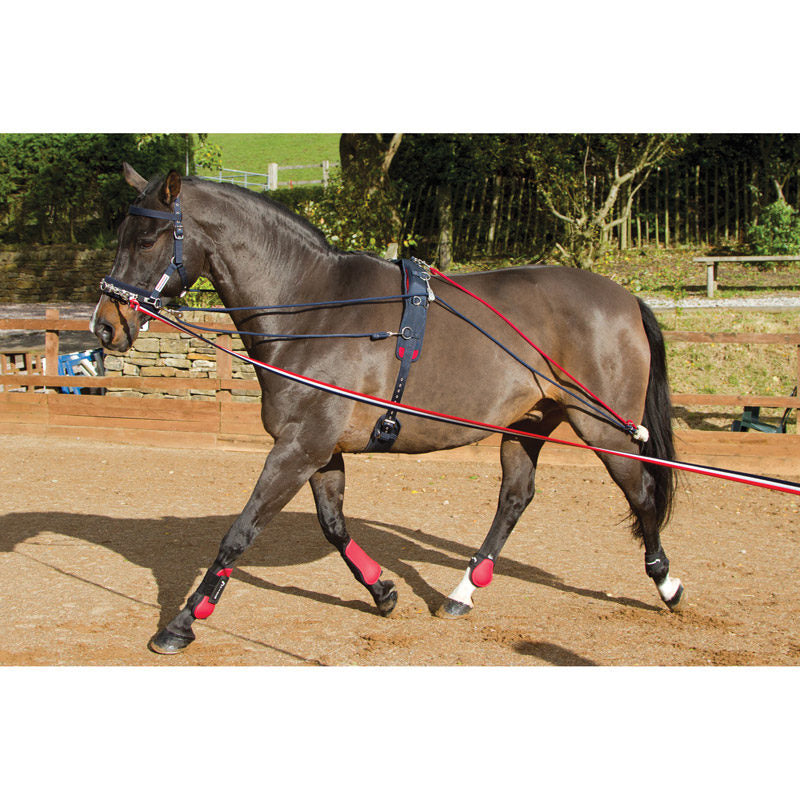 Whitaker Training System - Top Of The Clops