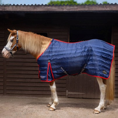 Gallop Trojan 200g Stable Rug - Top Of The Clops