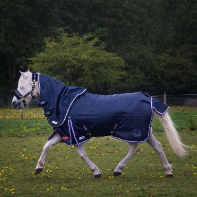 Gallop Ponie Duraproof 5-Point Lightweight No Fill Turnout
