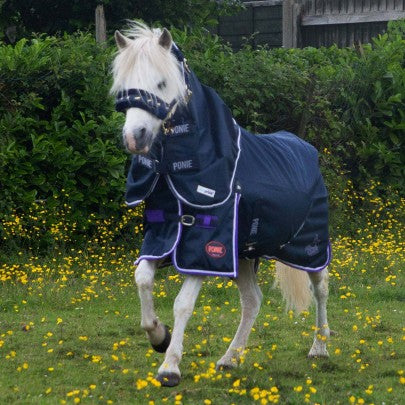 Gallop Ponie Duraproof 5-Point Lightweight No Fill Turnout