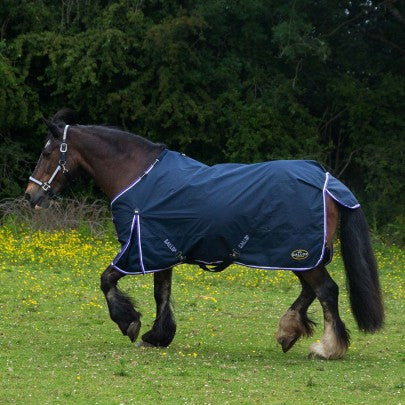 Gallop Trojan Duraproof 5-Point Lightweight No Fill Turnout