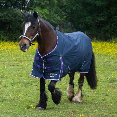 Gallop Trojan Duraproof 5-Point Lightweight No Fill Turnout