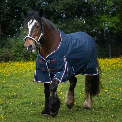Gallop Trojan Duraproof 5-Point 50g Turnout
