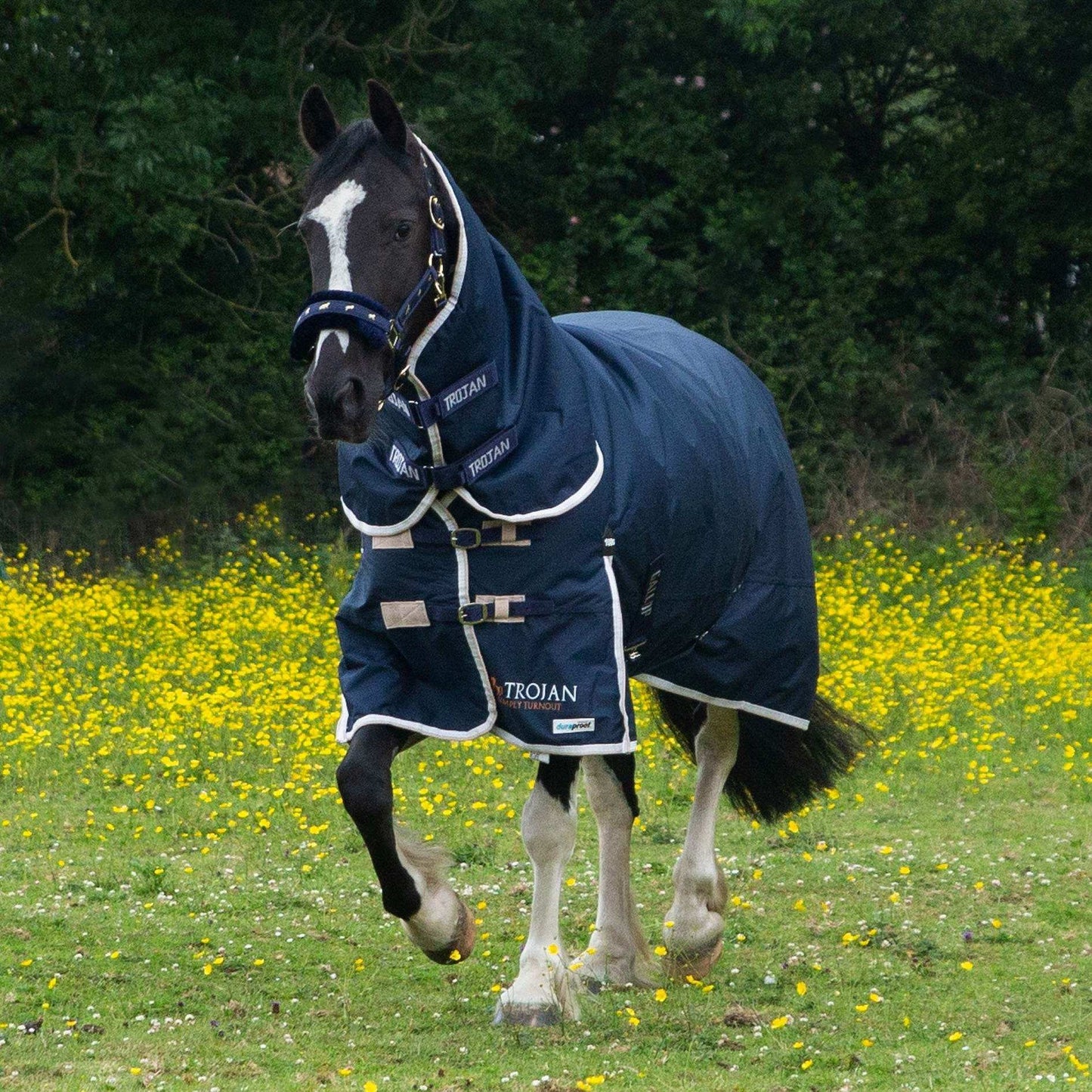 Gallop Trojan Duraproof Combo 100g Turnout