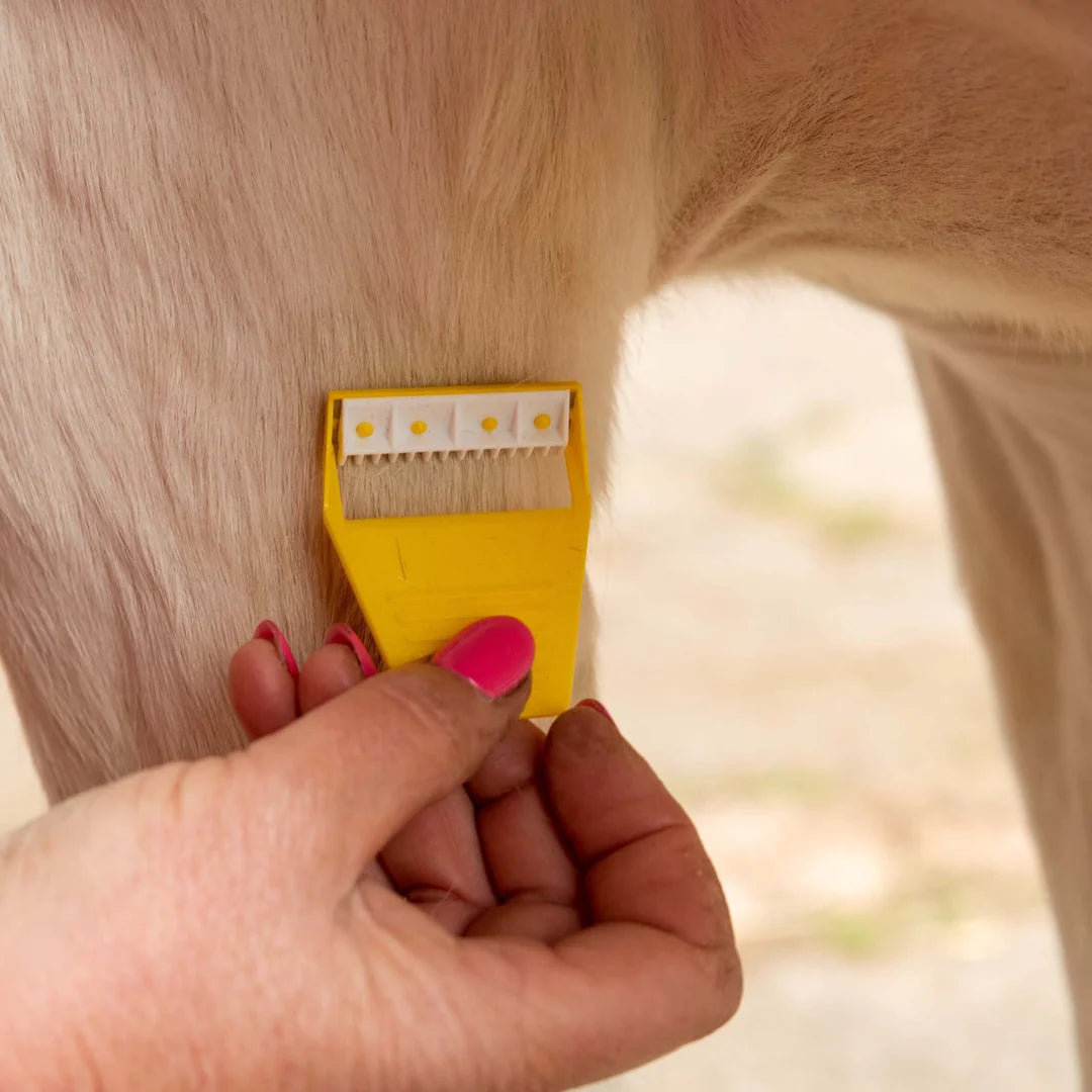 Smart Grooming Equi-Shave